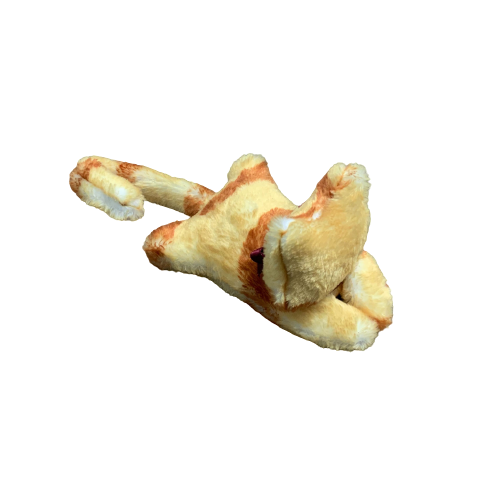 Cat Clip red tabby frontside