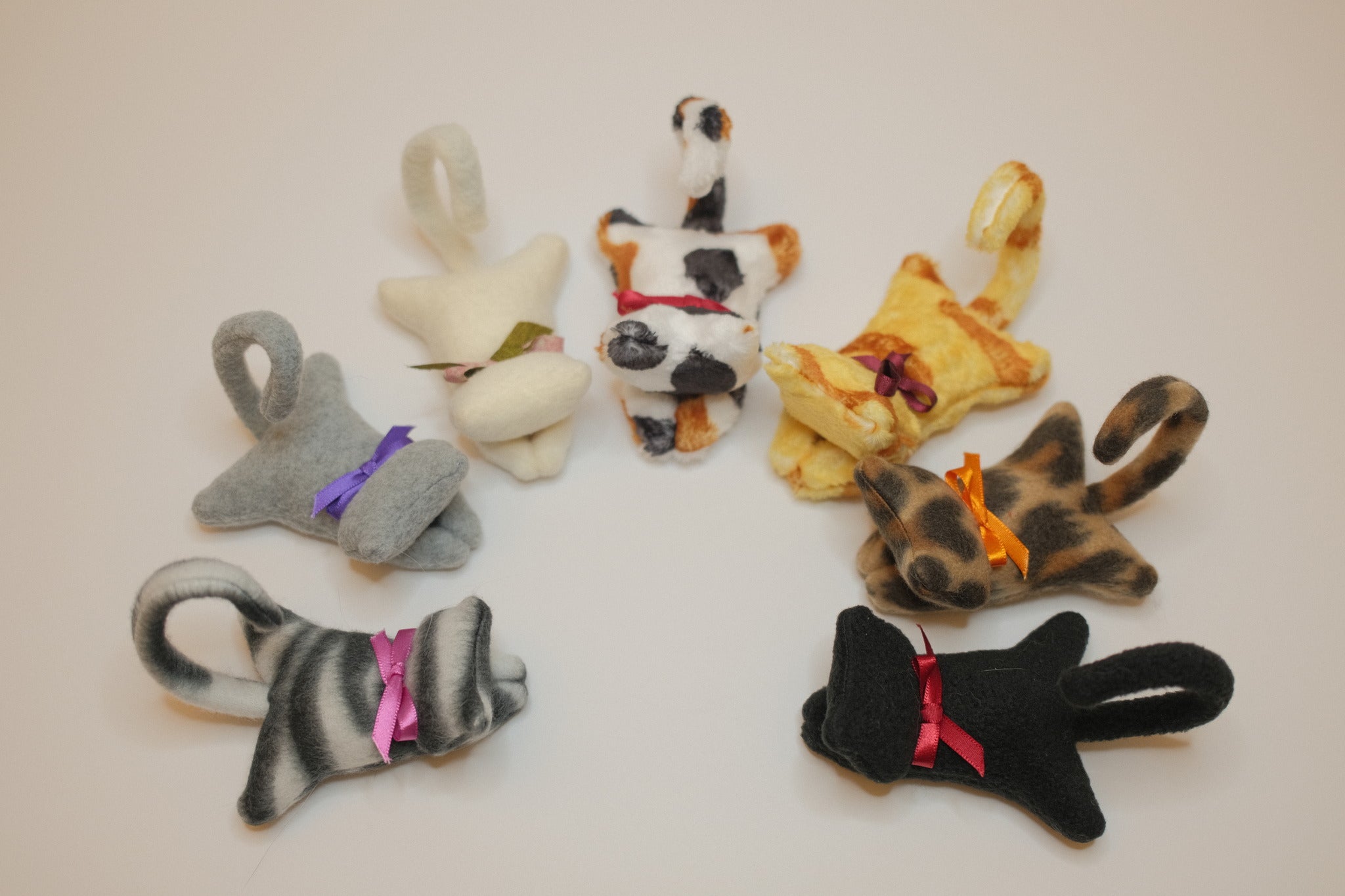 Cat Clip