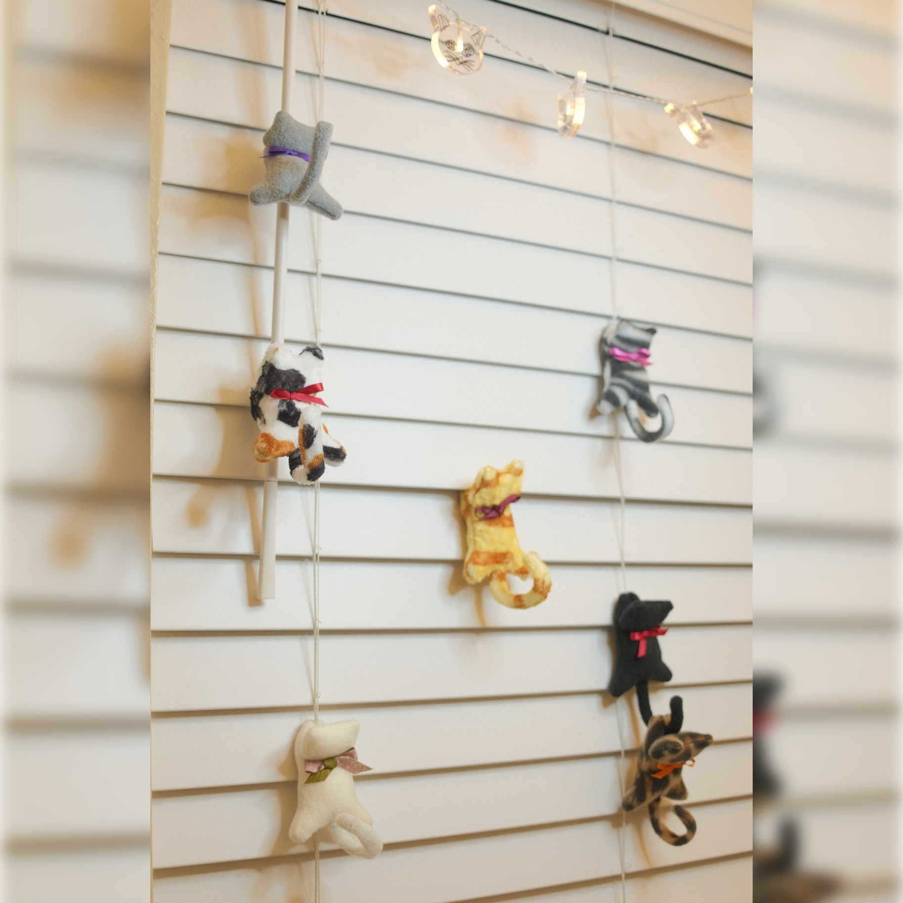 Cat Clip